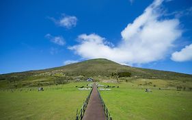八丈島ブルーエイト